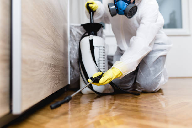 Wasp Removal Services in Chelan, WA