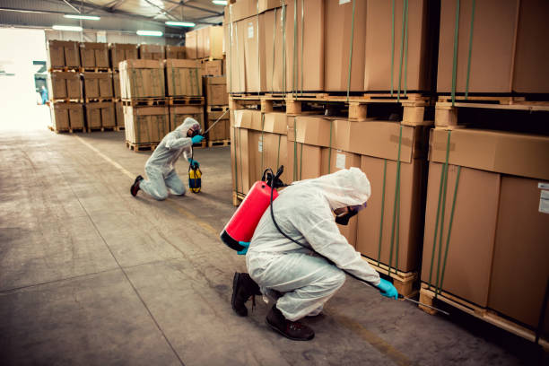 Best Best Pest Control Companies  in Chelan, WA