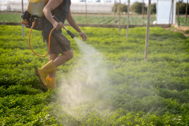 Best Affordable Pest Control Services  in Chelan, WA