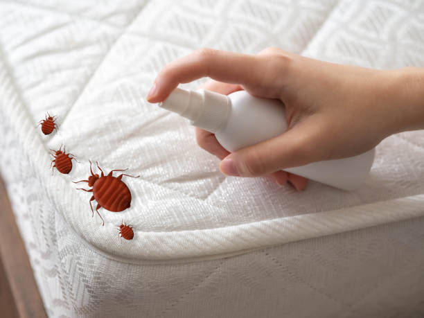 Best Pest Prevention Services  in Chelan, WA